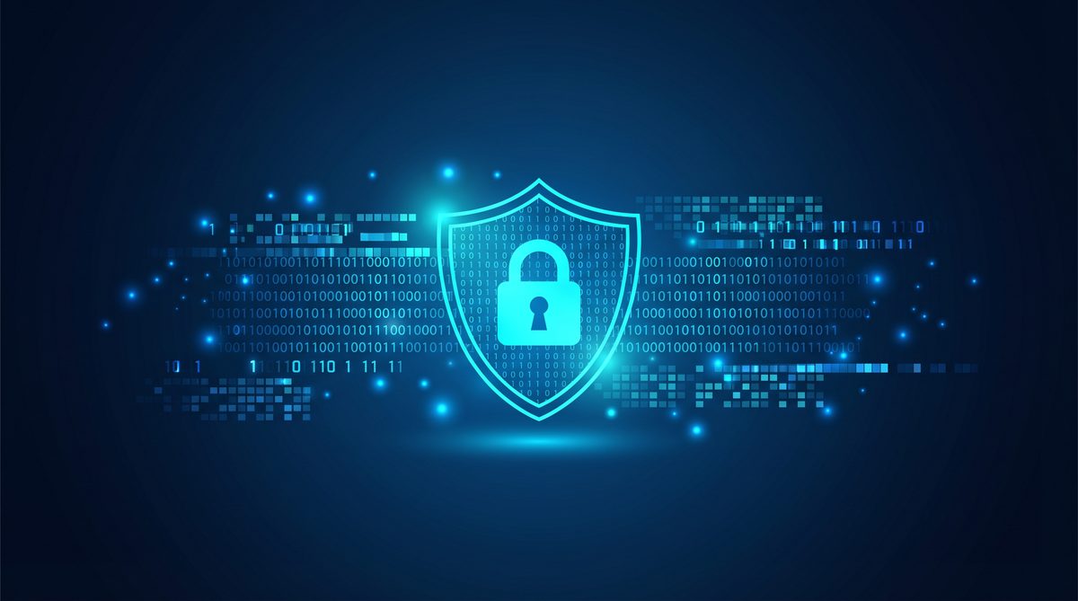 细柚加速器隐私安全保护